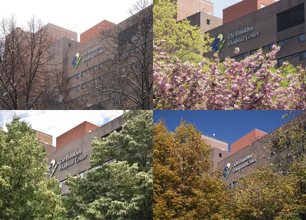 Brooklyn Hospital in Winter, Spring, Summer, Fall Brooklyn Hospital in Winter, Spring, Summer, Fall